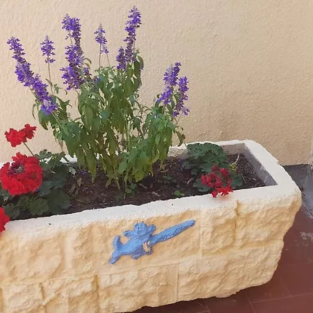 Lägenhet Le Narval-appartement 5 *
