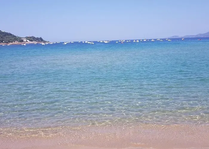 Le Narval-appartement 5 *